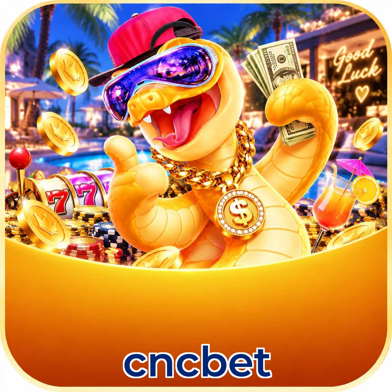 cncbet instalar Windows e Mac