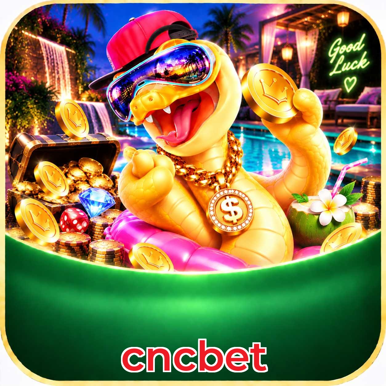 cncbet Facebook Page