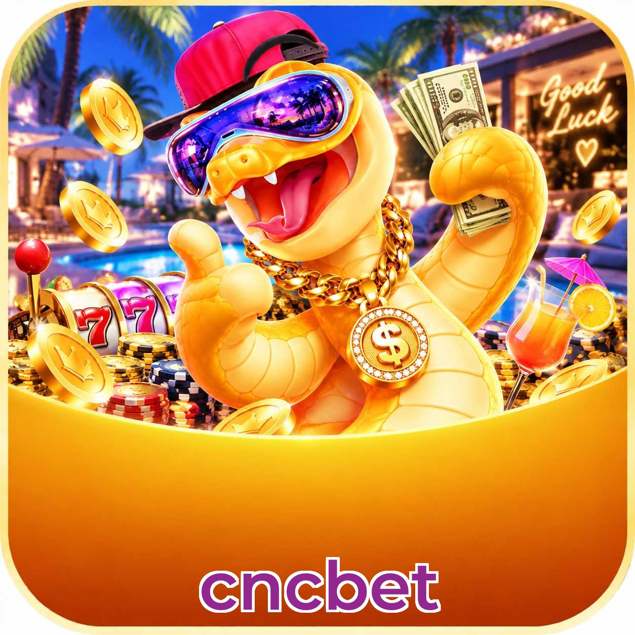 cncbet Installation Guide