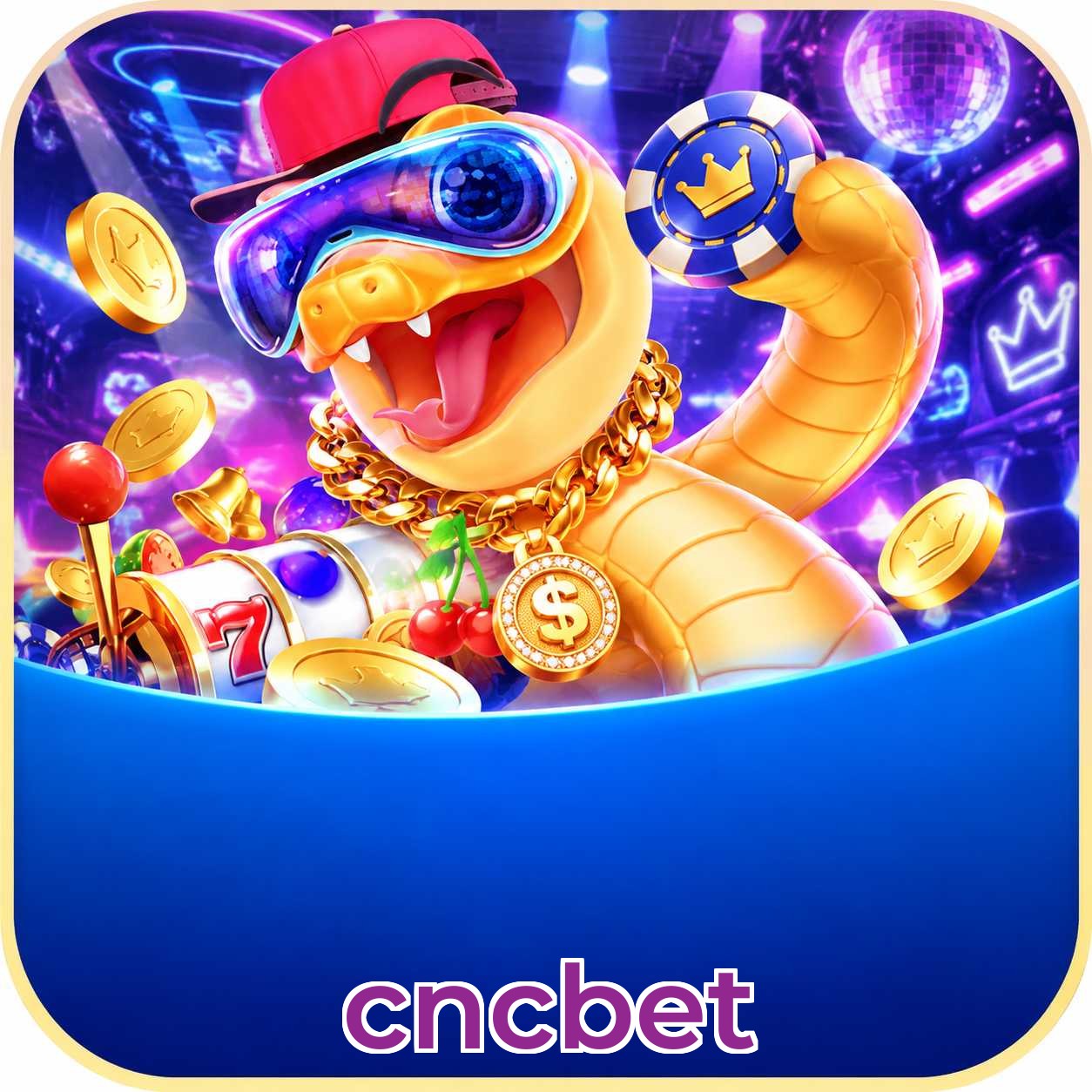 cncbet Plataforma FAQ