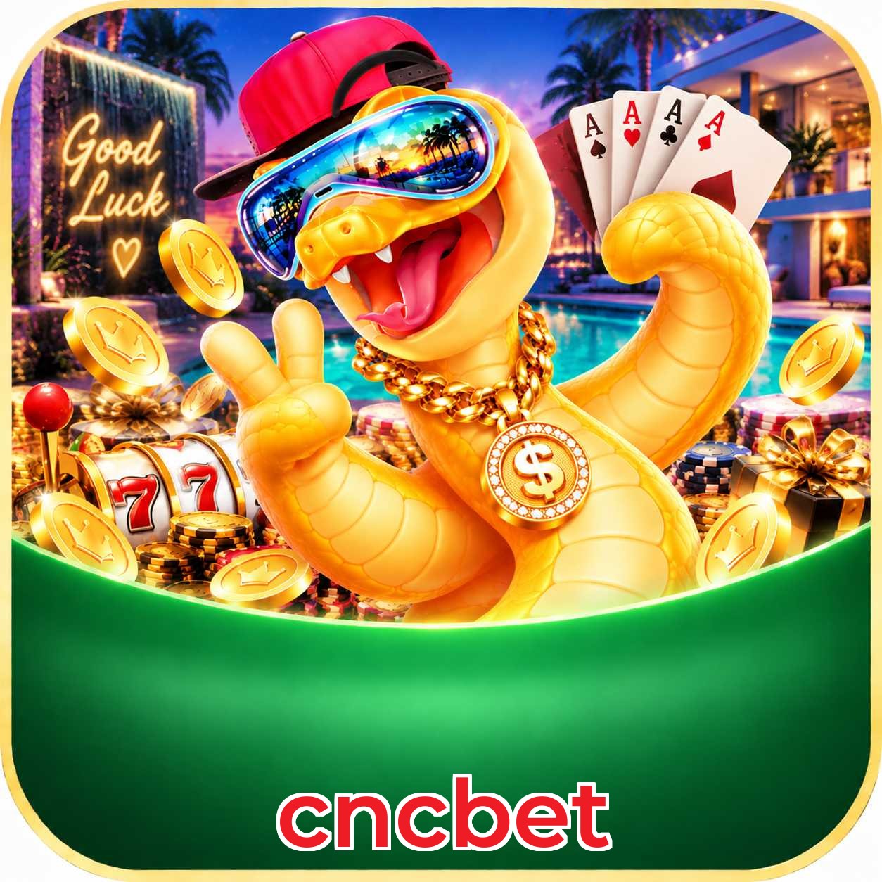 cncbet Requirements