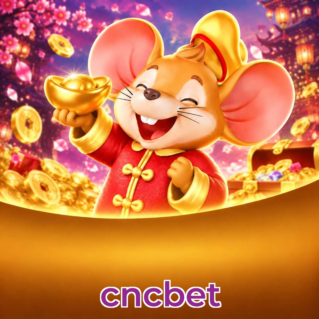 cncbet erros de instalação e correção